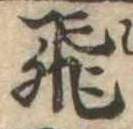 已定位飛