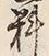 字過