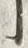 文字 衣