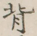 背の位置