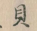 已定位貝