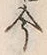 「今」字