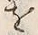 “以”字