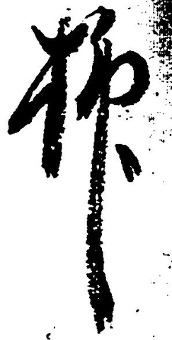 已定位抑