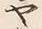 「ヤ」字