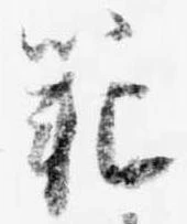 Đã định vị 範