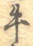 位置定マレル牛