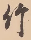 文字竹