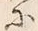 Chữ 根