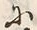 字帰