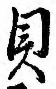 已定位貝