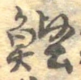 位置 確認된 鰹