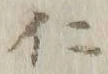 “仁”字
