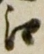 𡨸江