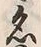 Character 名