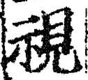 Chữ 視