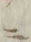 字作