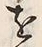 字尋