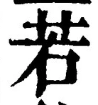 「若」字