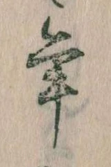 位置 確認된 年
