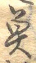 已定位魚