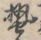位置 確認된 蟄