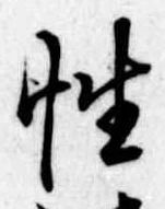Đã định vị 性