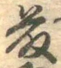 已定位藤