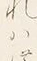 Character は