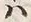 “松”字