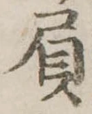 Đã định vị 屓