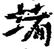 位置 確認된 堵