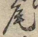 Located 尾