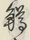 字鱒