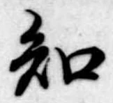 已定位知