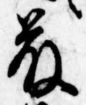 已定位藤