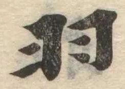 已定位羽