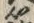 “籠”字