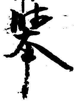 挙の位置