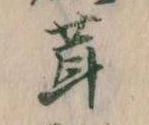 位置定マレル茸