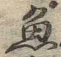已定位魚