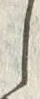 Character 廻