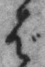 文字ば
