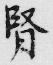 文字腎