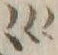 Chữ 検