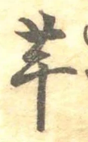已定位芋
