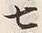 字常