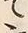 文字 行