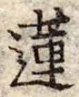 Đã định vị 蓮