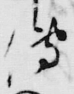 「伝」字